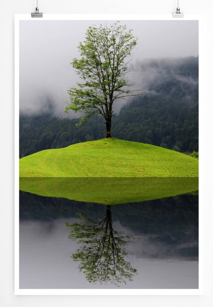 Landschaftsfotografie 60x90cm Poster Einsamer Baum auf Wiesenhügel
