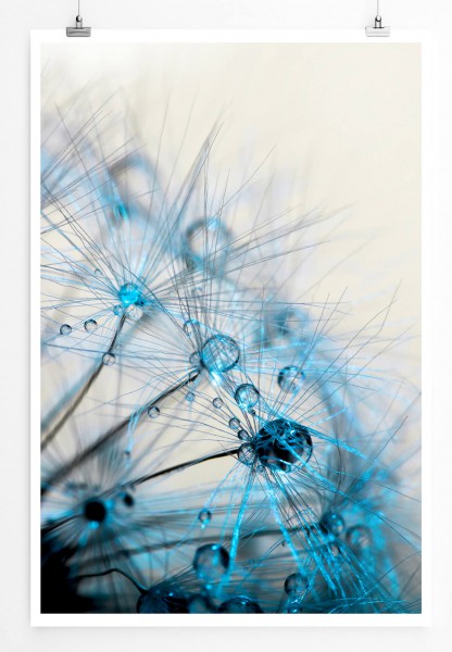 Naturfotografie 60x90cm Poster Makroaufnahme einer Pusteblumen