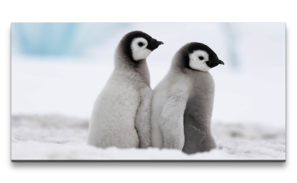 Leinwandbild 120x60cm Kleine Pinguine Süß Flauschig Lustig Lieblich Schnee