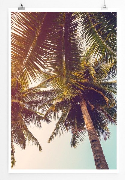 Naturfotografie  Malerische Palmen 60x90cm Poster
