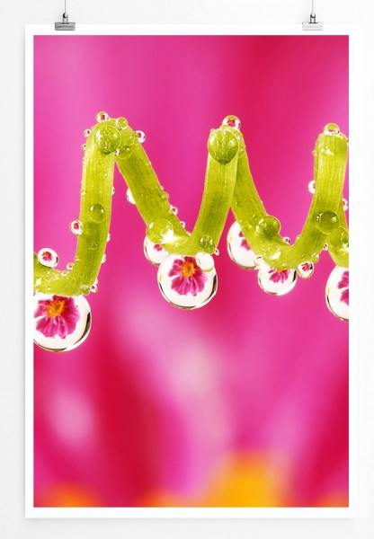 60x90cm Digitale Grafik Poster Blüten in Tautropfen