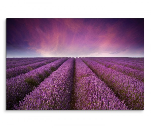 120x80cm Wandbild Lavendel Feld Sonnenuntergang