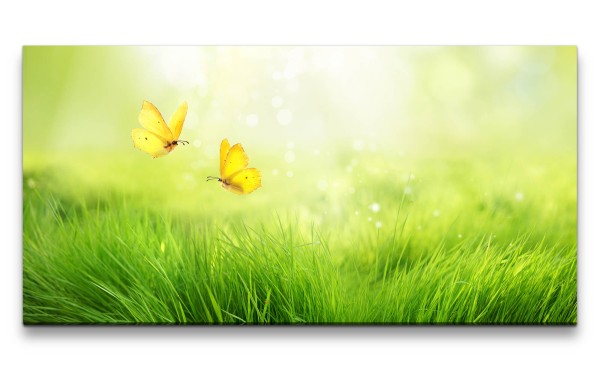 Leinwandbild 120x60cm Sommer Wiese Gras Schmetterlinge Sonnenstrahlen