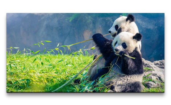 Leinwandbild 120x60cm Panda Pandabär Flauschig Süß Lieblich Niedlich Natur