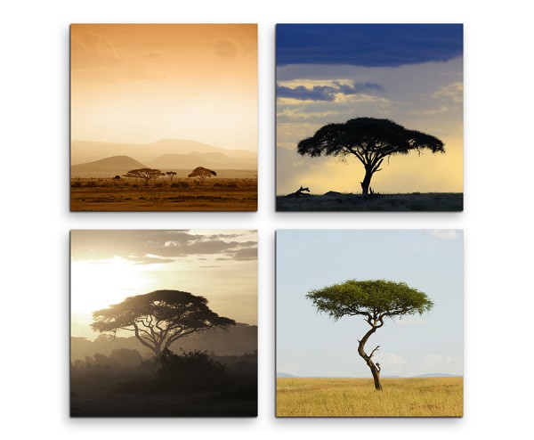 4 teiliges Leinwandbild je 30x30cm - Akazienbaum Afrika Wüste