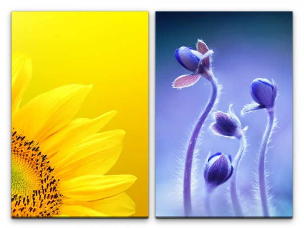 2 Bilder je 60x90cm Sonnenblume Gelb Blumen Tulpen Sommer Balu Makro