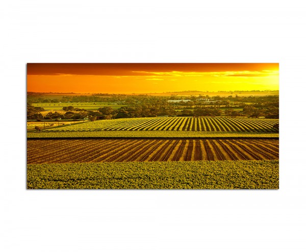 120x80cm Landwirtschaft Sonnenuntergang Australien
