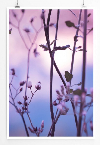 60x90cm Poster Naturfotografie  Blühende Zweige vor kühlem Hintergrund