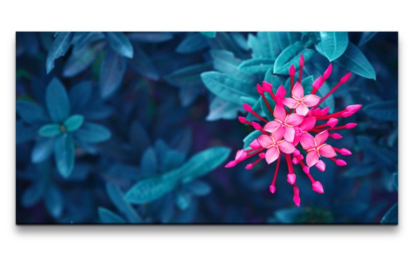 Leinwandbild 120x60cm Blume Exotisch Tropisch Fotokunst Blüte Schön