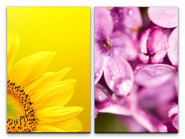 2 Bilder je 60x90cm Sonnenblume Gelb Rosa Blumen Nahaufnahme Sommer Blüte