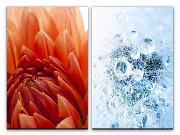 2 Bilder je 60x90cm Dahlie Pusteblume Wassertropfen Regentropfen Warm Kühl Fotokunst