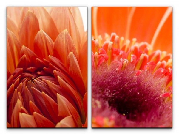 2 Bilder je 60x90cm Rote Blumen Blüten Sommer Natur Fokus Fotokunst Makrofotografie