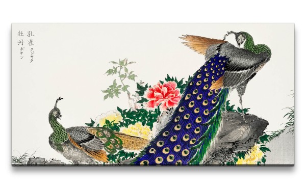 Remaster 120x60cm Wunderschöne traditionell japanische Kunst Zeitlos Pfau Federkleid Prachtvoll