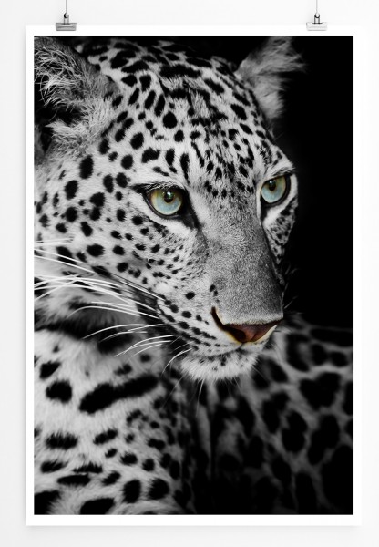 90x60cm Poster Tierfotografie Leopard mit grünen Augen im Porträt