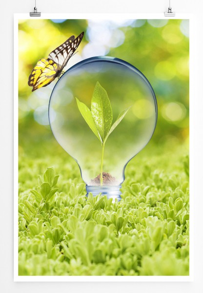 90x60cm Poster Naturfotografie Glühbirne mit Spross und Schmetterling