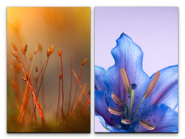 2 Bilder je 60x90cm Lilie Blume blaue Blüte Sommer Warm Sanft Beruhigend