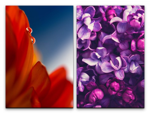 2 Bilder je 60x90cm Blumen rote Blüte Wassertropfen Violett Duftend Zart Makrofotografie