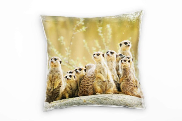 Tiere, braun, grün, Erdmännchen, Afrika, Wildnis Deko Kissen 40x40cm für Couch Sofa Lounge Zierkisse