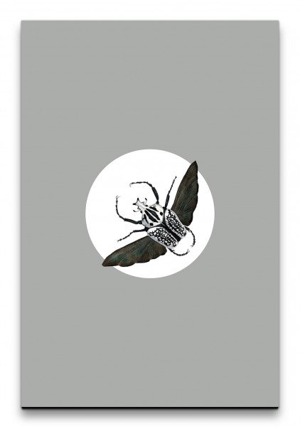 Käfer Insekt weißer Kreis Modern Aquarell Schwarz Weiß Minimal