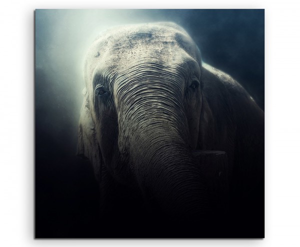 Tierfotografie – Elefant im Nebel auf Leinwand