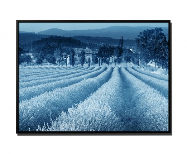 105x75cm Leinwandbild Petrol Lavendelfeld in Provence
