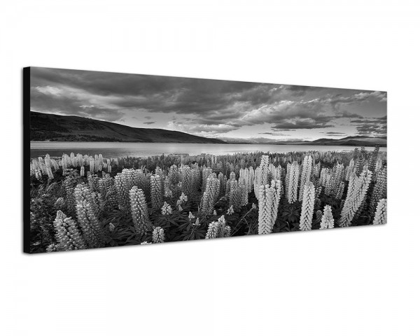 150x50cm Neuseeland Blumenwiese Berge See Natur