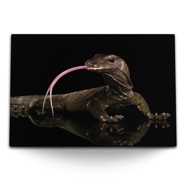 120x80cm Wandbild auf Leinwand Waran Echse Reptil Tierfotografie schwarzer Hintergrund