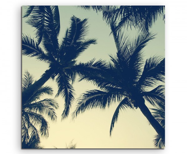 Naturfotografie – Wunderschöne Palmensilhouette auf Leinwand