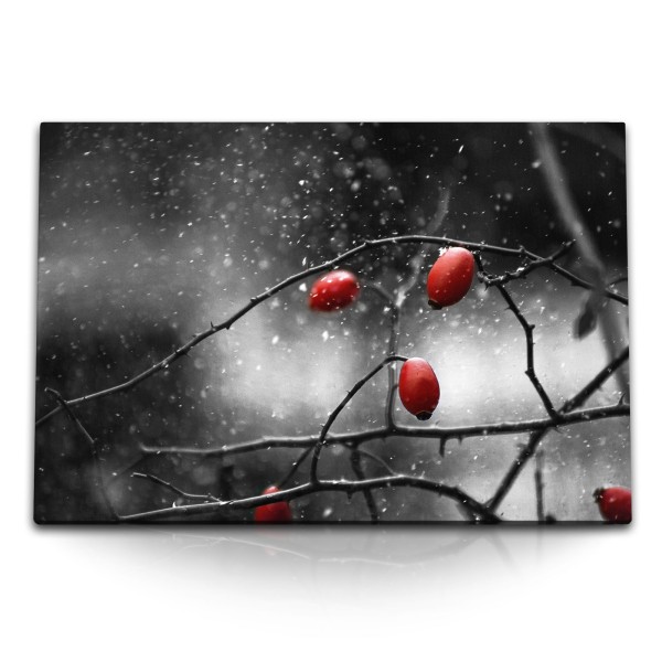 120x80cm Wandbild auf Leinwand Wildrosen Gebüsch Rot Schwarz Weiß Fotokunst