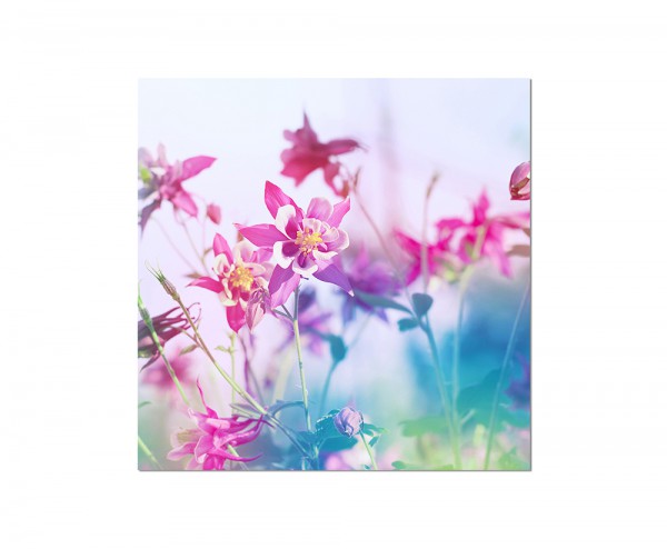 80x80cm Blumen Blüten Hintergrund Bunt