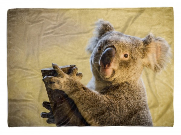 Handtuch Strandhandtuch Saunatuch Kuscheldecke mit Tiermotiv Koalabär Koala Aus