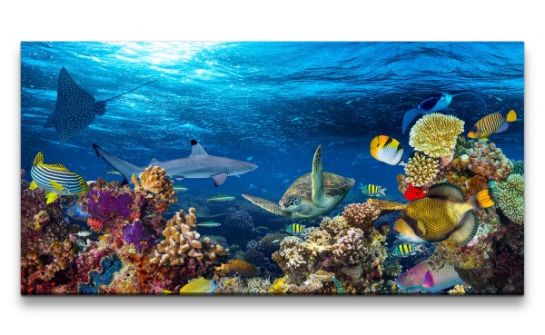 Leinwandbild 120x60cm Korallenriff Bunte Fische unter Wasser Tauchen Ozean