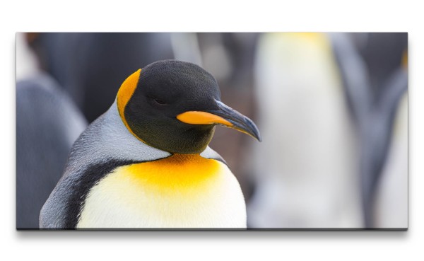Leinwandbild 120x60cm Kaiserpinguin Pinguin Antarktis schönes Tier Wild