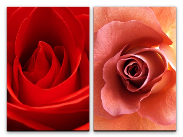 2 Bilder je 60x90cm Rosen Blüten Rot Liebe Leidenschaft Romantisch Dekorativ