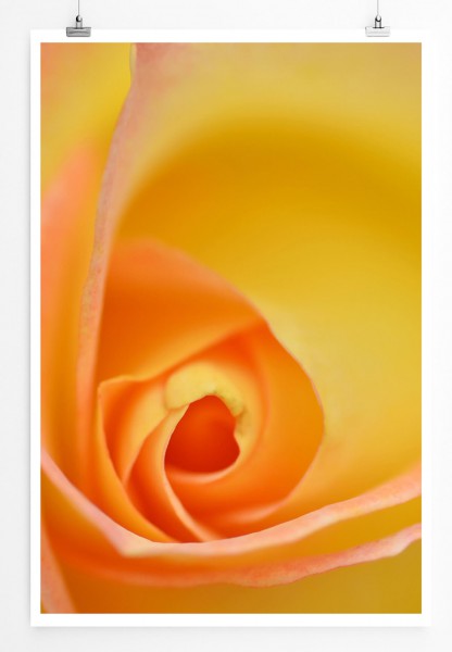 60x90cm Poster Naturfotografie  Gelbe Rose im Detail