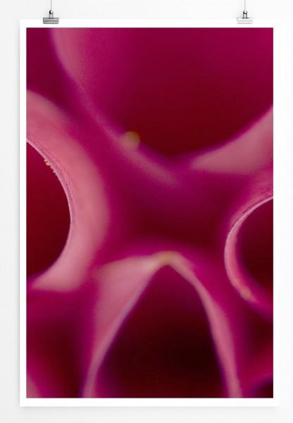 60x90cm Poster Naturfotografie  Pinke Blütenblätter