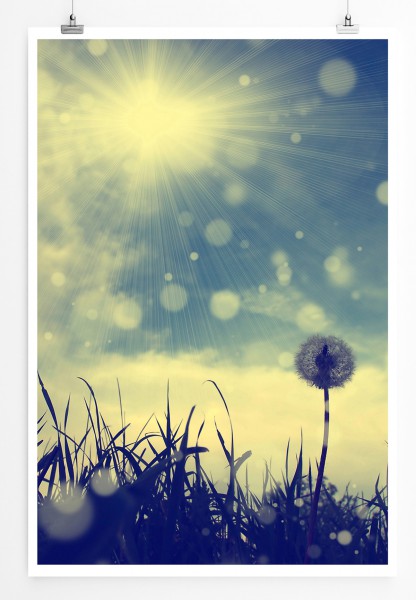 90x60cm Poster Pusteblume vor Vintage Himmel in der Sonne
