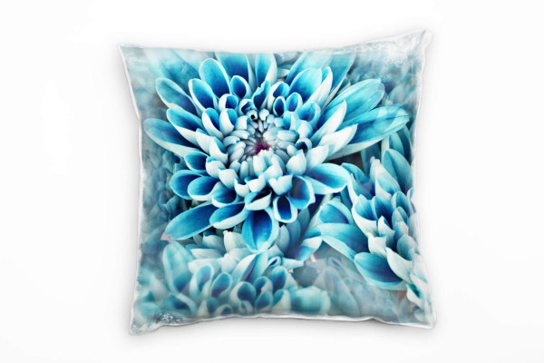 Macro, Blumen, blau, Blütenblätter Deko Kissen 40x40cm für Couch Sofa Lounge Zierkissen