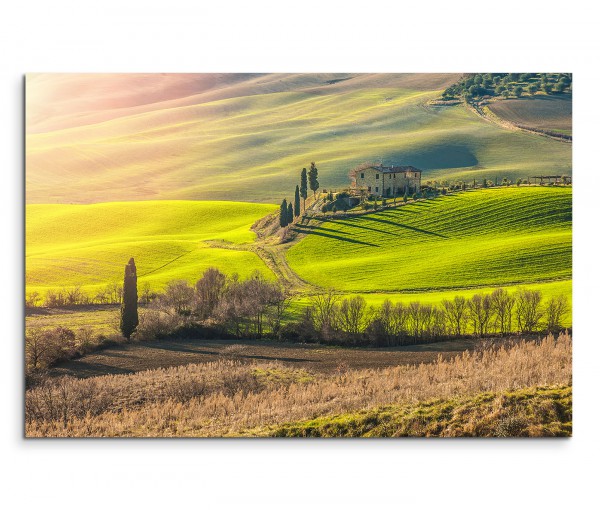 120x80cm Wandbild Italien Toskana Hügel Berge Wiesen Frühling