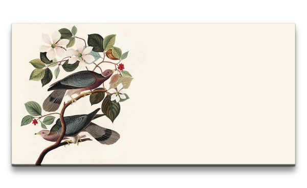 Remaster 120x60cm Vögel Blumen Blüten Minimalistisch Illustration Wunderschön