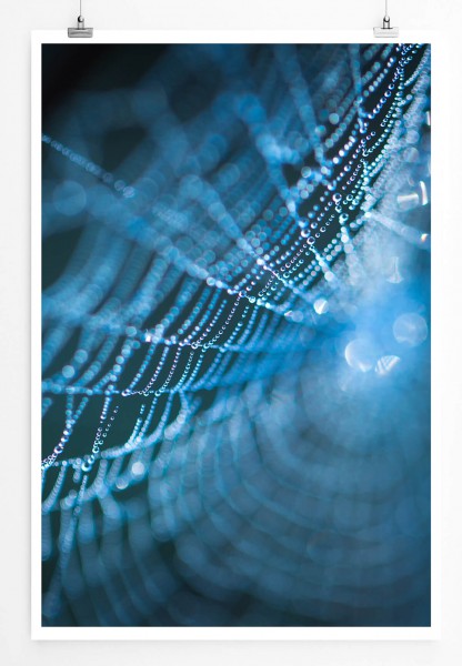 60x90cm Poster Naturfotografie  Spinnweben im Morgenlicht