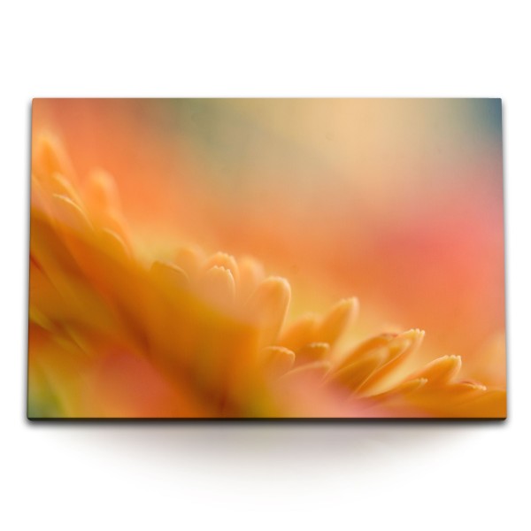 120x80cm Wandbild auf Leinwand Blume Blüte Orange Nahaufnahme Abstrakt Kunstvoll
