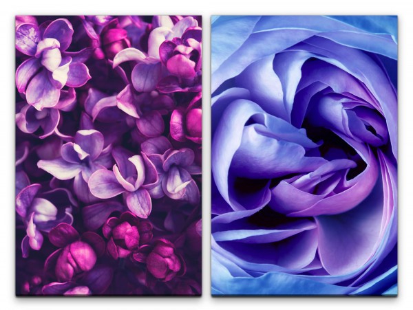 2 Bilder je 60x90cm Orchideen Rosenblüte Blau Rosa Duftend Sommer Makrofotografie