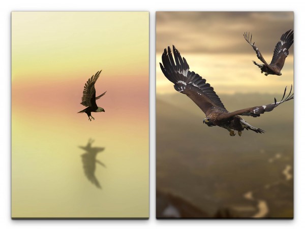 2 Bilder je 60x90cm Freiheit Adler Weißkopfseeadler Fliegen Majestätisch Gold Vögel