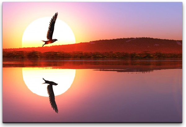Adler in einer Seen Landschaft Wandbild in verschiedenen Größen