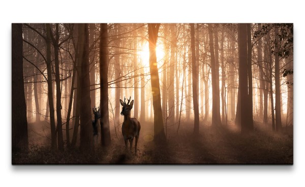 Leinwandbild 120x60cm Rehe Wald Sonnenstrahl Bäume Natur Stille