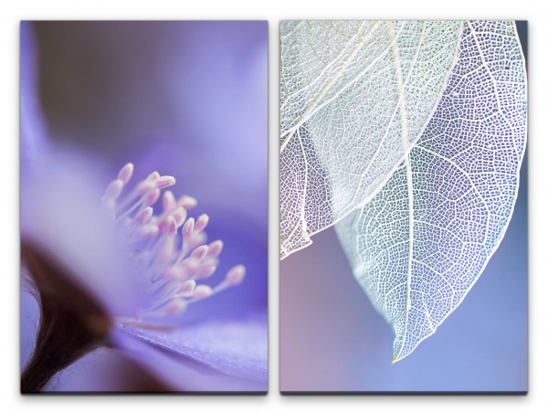 2 Bilder je 60x90cm Weiße Blätter Blüte Hellblau Sanft Zart Dekorativ Makrofotografie