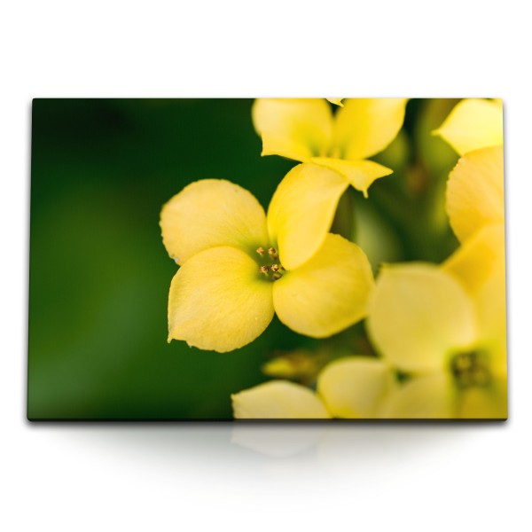 120x80cm Wandbild auf Leinwand Gelbe Blumen Blüten Grün Natur Fotokunst