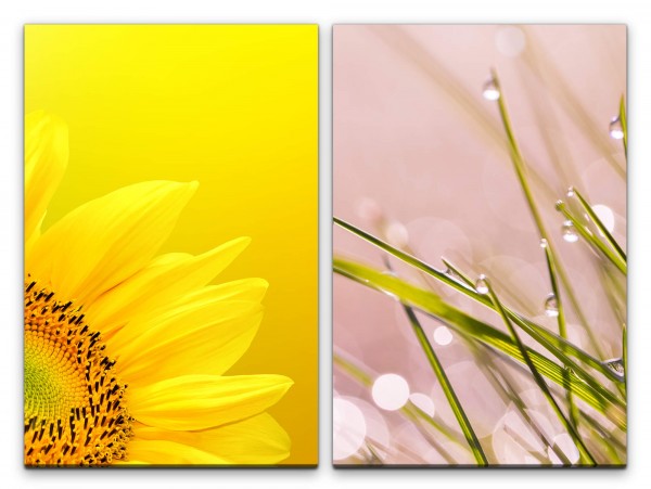 2 Bilder je 60x90cm Sonnenblume Gelb Grashalme Rosa Tropfen Morgentau Gras