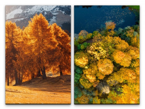2 Bilder je 60x90cm Bäume Natur Unberührt Vogelperspektive Stille Erholsam Herbst